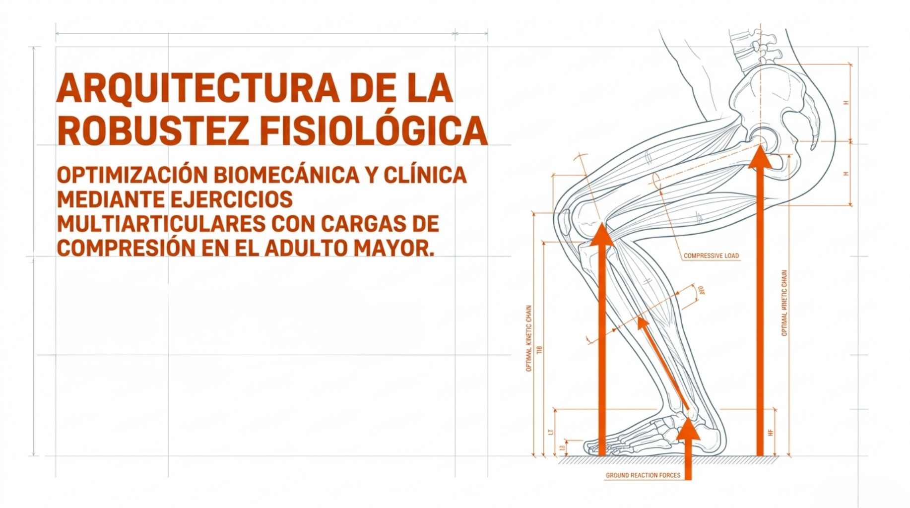 Arquitectura de la vejez
